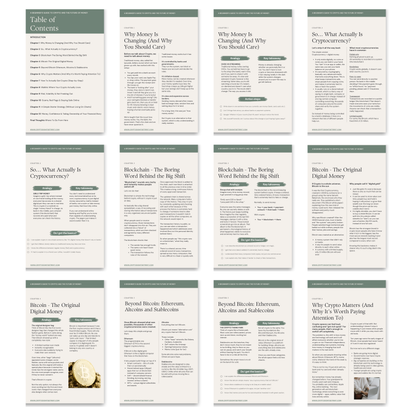 A Beginners Guide To Crypto & The Future Of Money (Instant PDF Download)
